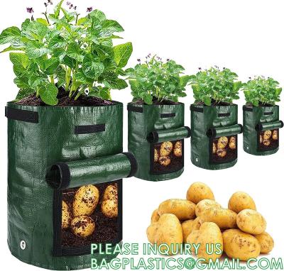 China Potato Grow Bags, 4 Pack 10 Gallon With Flap And Handles Planter Pots For Onion, Fruits, Tomato, Carrot - Green for sale