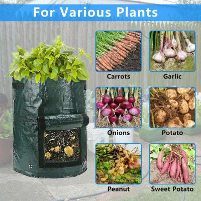 Cina 10 Gallon Potato Grow Bags, Planter Pouch Bags for Vegetables, Fruits and Flowers Flap Window, Garden Planting Bag in vendita