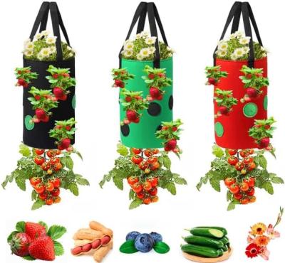Cina Strawberry Grow Bags, No Gauze Growing Bag, Hole Upside Down Planter Handling Planter Bags, Planting Strawberries in vendita