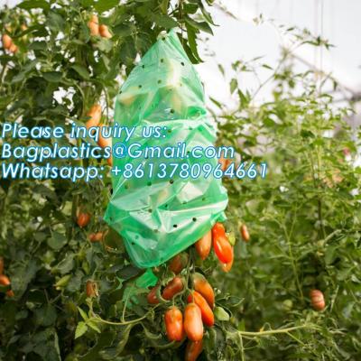 China Perforated Tomato Tube Cover Frost Protection Bag Garden Used Cover Tomato Growing Covers Sleeves With Ties for sale
