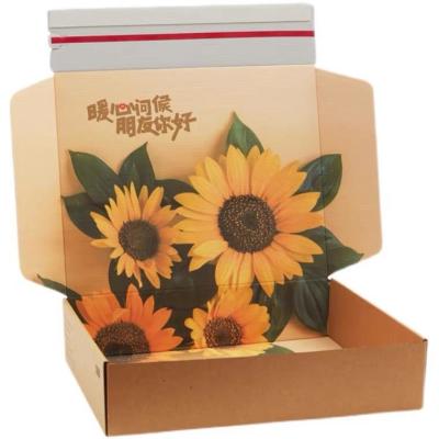 China Hot Sale Custom Shipping Boxes Custom Logo Package Courier Box Delivery Corrugated Box for sale