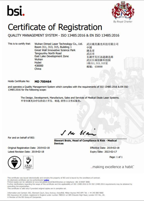 ISO 13485 - Wuhan Dimed Laser Technology Co., Ltd