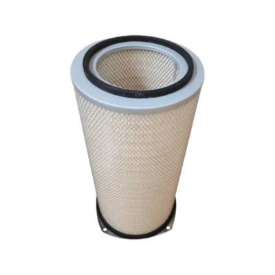 China 0.0061m3 Air Filter Engine Truck Filters OEM 1665563 for sale