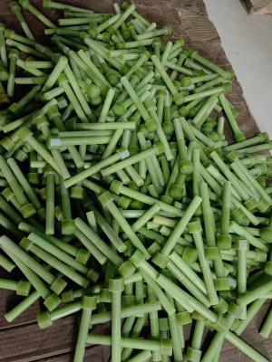 Chine Boulons en plastique renforcés de fibres M6 de taille verte à vendre