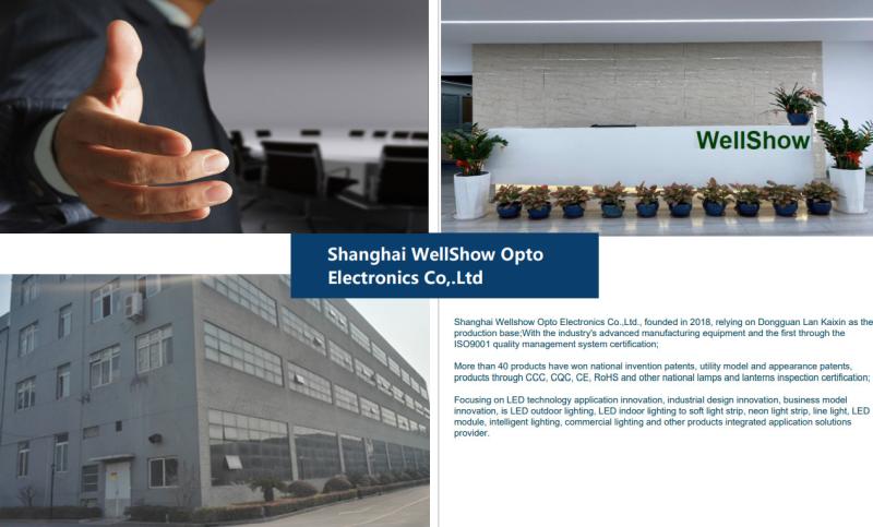 Verified China supplier - Shanghai Wellshow Opto Electronics Co., Ltd. 1YRS