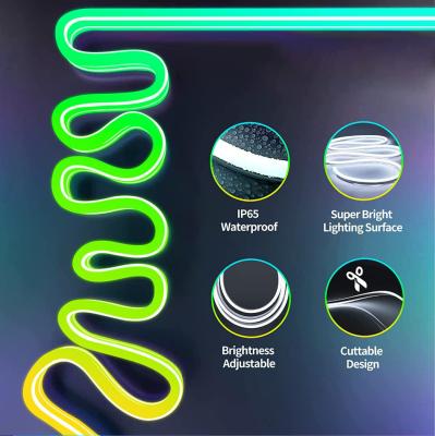 China 16.4ft RGB Silicone Neon Strip Light Remote Control Smart Color Changing for sale