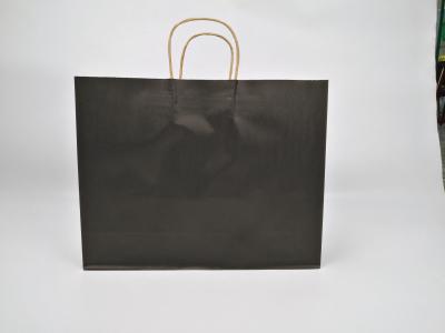 China Customized Biodegradable Paper Gift Bag With Handles Gift Kraft Paper Tea Shopping à venda