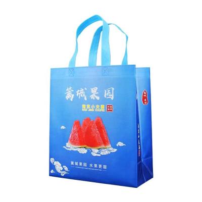China 80gsm Eco Friendly Polypropylene Non Woven Bags For Supermarket for sale
