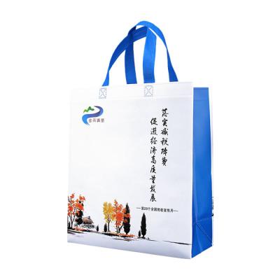 China Shopping PP Biodegradable Non Woven Bag Shrink Resistant for sale