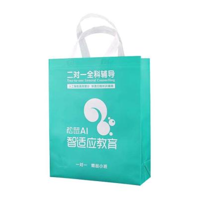 China Supermarket PP Non Woven Grocery Bags 50Gsm Eco Friendly for sale