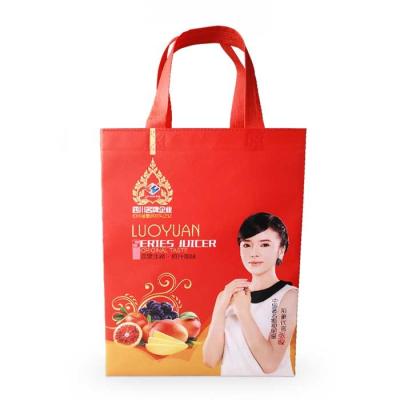 China Printed Polypropylene Promotional Non Woven Shopping Bags Foldable Reusable for sale