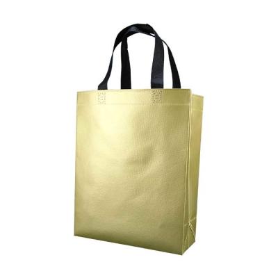 China Spunbonded Reusable Non Woven Shopping Bags Biodegradable Non Woven Fabric Bag for sale