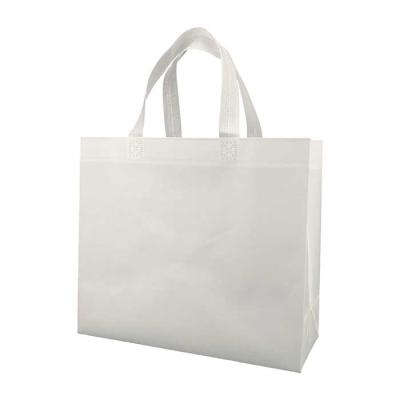 China Eco Friendly PP Non Woven Shopping Bags 125gsm Non Woven Shoe Bag for sale