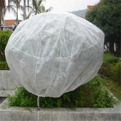 China Agricultural PP Spunbond Nonwoven Fabric 165gsm Breathable for sale