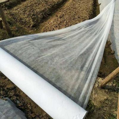 China Recyclable Agriculture Non Woven Fabric 170cm Non Woven Polypropylene Roll Breathable for sale