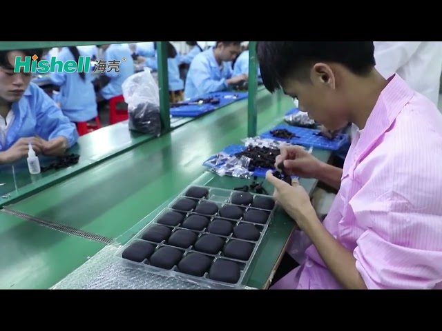 Hishell China Earbuds Factory Video