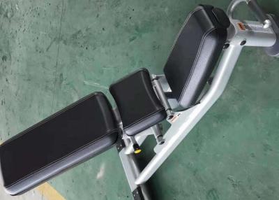China 1540MM PU 3.0mm Pipe Multifunctional Weight Lifting Bench for sale