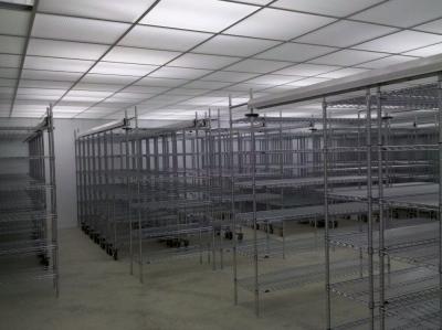 China Cold Room High Density Shelving System For Dry Storage , Coolers And Walk-In Freezers for sale