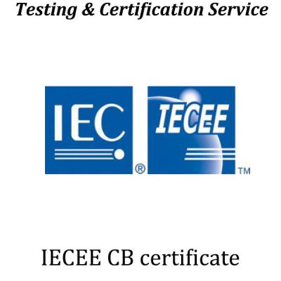 Cina Swiss Product Safety Certification Mark Germany LFGB Certification ENEC Certification CE Marking in vendita
