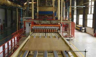China Rice Straw Particle Board Production Line High Productivity Panel 2440 x 1220 MM for sale