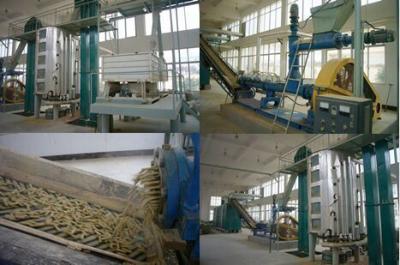 Chine 20-800 projet principal de tour d'usine d'huile de son de riz de projets d'ingénierie de nourriture de Tpd à vendre