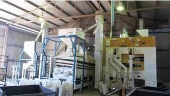 China Fábrica de tratamento completa da semente do trigo que faz a máquina/linha de produção à venda