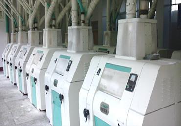 China 200tpd Wheat Flour Milling Plant Turnkey Project Customization for sale
