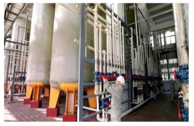 China Salida anual 50000 toneladas de ácido húmico/proyecto dominante de la vuelta del fertilizante del ácido húmico en venta