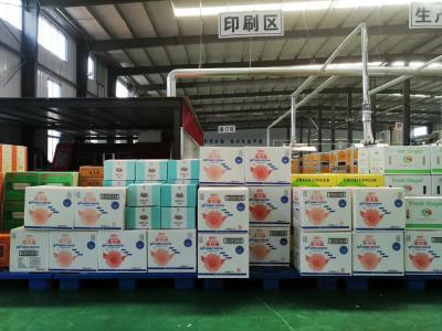 中国 PLC制御10MM押出機が付いている機械を作る波形のカートン箱 販売のため