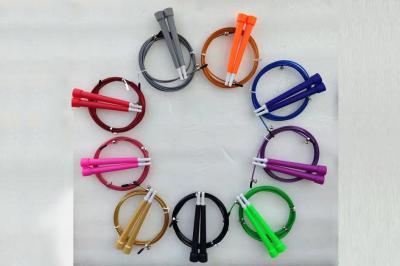 China Children Fitness 2.5mm Speed Jumping Rope Racing Steel Wire Skipping 3 Meters for sale