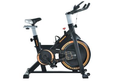 China Household Mute Spinning Exercise Bike Indoor Sports Pedal Body Shaping Bike for sale