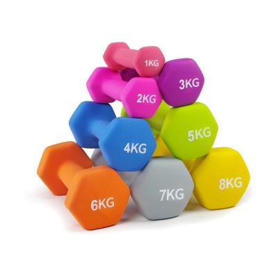 China Rubber Gym Fitness Dumbbells Custom Logo Home Use Fitness Gym Equipment for sale