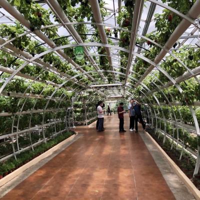 China                  Hydroponics for Strawberries and Vegetables Accessories System              for sale