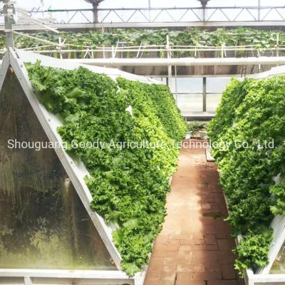 China Indoor Soilless Culture Vertical Hydroponics System For Agriculture Growing Geenhouse for sale