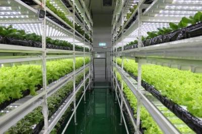 China Strong Adaptability Environmental Control System For Hydroponics System for sale