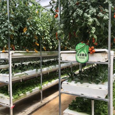 China Automatic Vertical Hydroponics System  For Agriculture Large Farms for sale