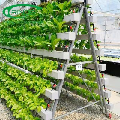 China Sistema de cultivo vertical hidropónico para el establecimiento de las verduras de la granja de la familia en venta