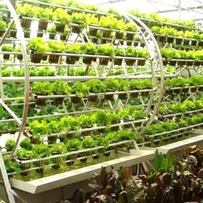 中国 水耕栽培の野菜のトマトのきゅうりのレタスの葉のための縦の水耕栽培システム 販売のため