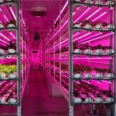 China Indoor Vertical Hydroponics System With LED Light for sale