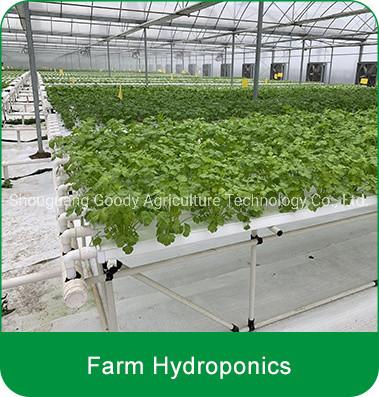 China                  Commercial Hydroponics Vegetables Hydroponic Growing Water Nft Hydroponics Systems              for sale