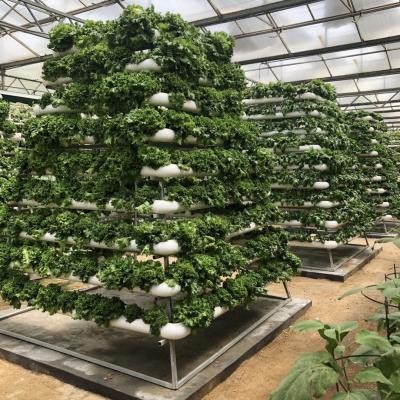 China Agricultural Greenhouse Hydroponic Grow Tower For Leaf Vegetables for sale
