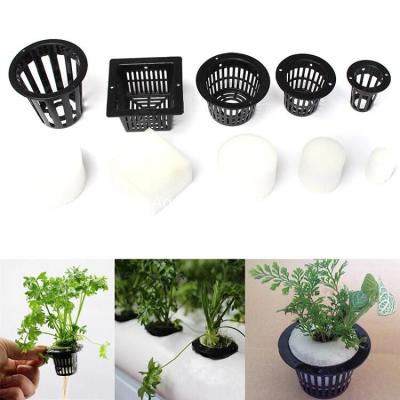 Cina Vasi netti commerciali Mesh Basket di plastica della pianta di Cuphydroponic in vendita