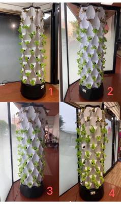 China Vertical Tower Hydroponics Growing System For Garden Products And Greenhouses for sale