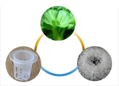 China Copa de cesta hidropónica de plástico para plantas de sistema de cultivo interior de una sola capa en venta