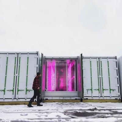 Chine Usine feuillue végétale hydroponique d'usine de serre chaude de fleur d'usine de laitue de Wheatgrass de fruit d'usine de Microgreen de ferme de conteneur à vendre