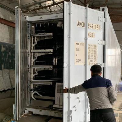 Cina Azienda agricola idroponica del container per la pianta in vendita