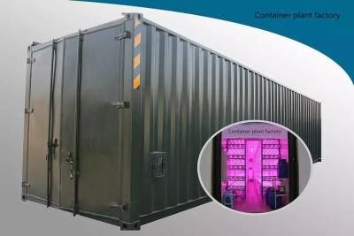 China 40hq Freezer Shipping Container Farm Hydroponic Green Growth Efficient Plant Container Factory Totalmente Automatizado Sistema de Controle à venda