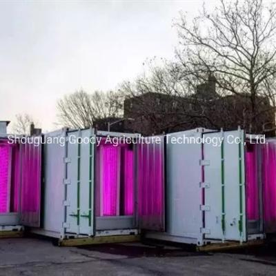 China                  Future Farm Plant Factory Hydroponics in Freight Container              for sale