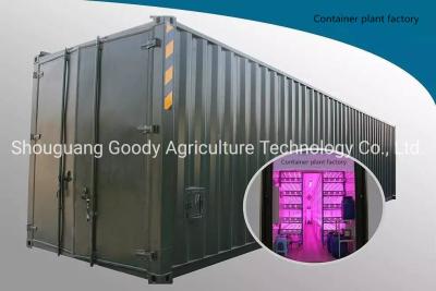 China                  Container Farm Greenhouse Hydroponic Growing Grass Barely Fodder Greenhouse for Cattle Sheep              for sale