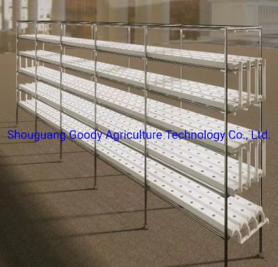 China A Type Planting Frame Hydroponics Growing System For Greenhouse for sale